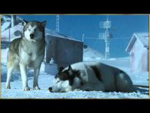Embedded thumbnail for A Christmas Story - Journey Of the Angels / Silent Nights by Enya