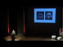 Embedded thumbnail for Grijze Cellen: hersenonderzoeker Dick Swaab